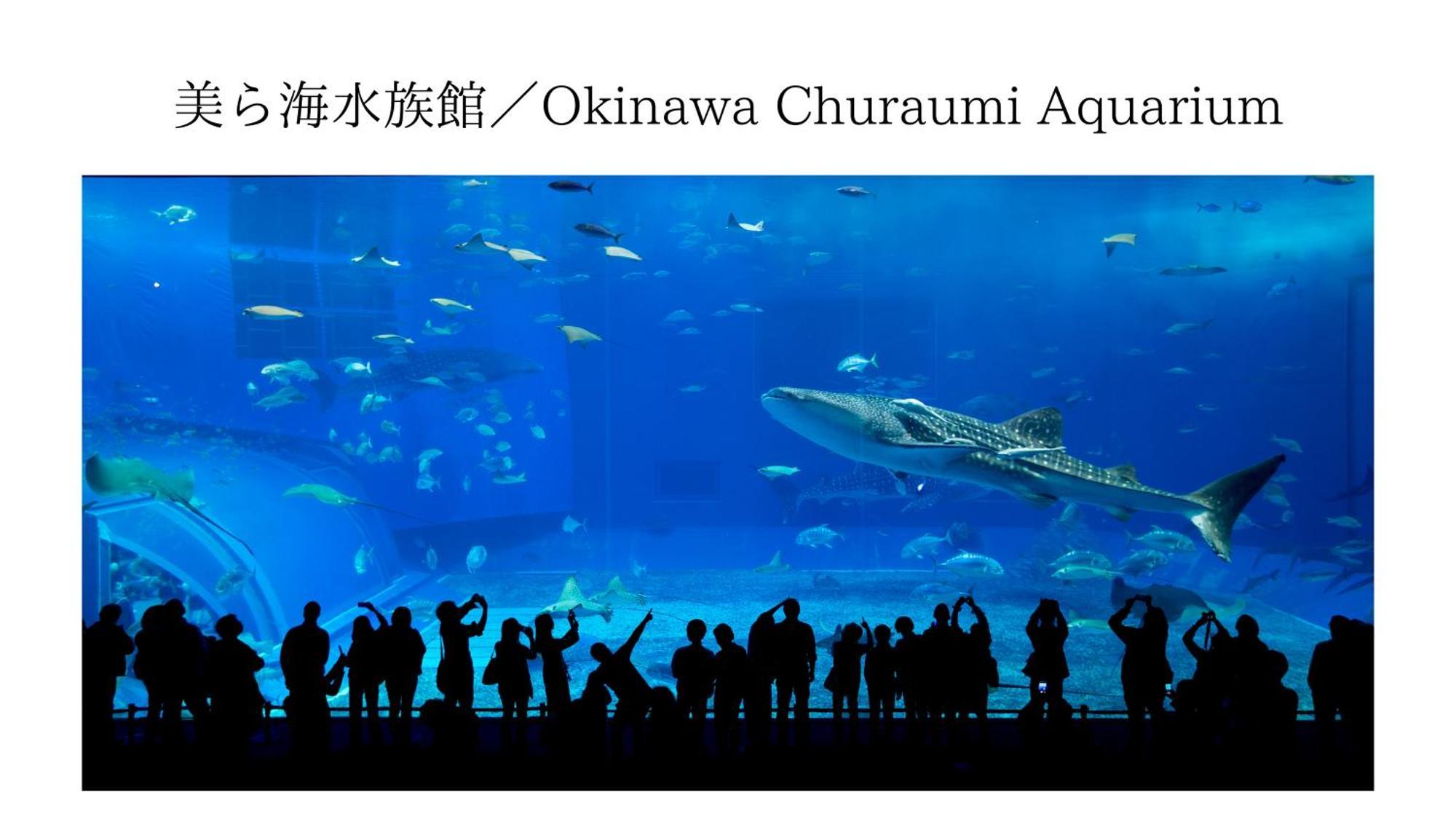 Aqua Shallows Onna Exterior foto